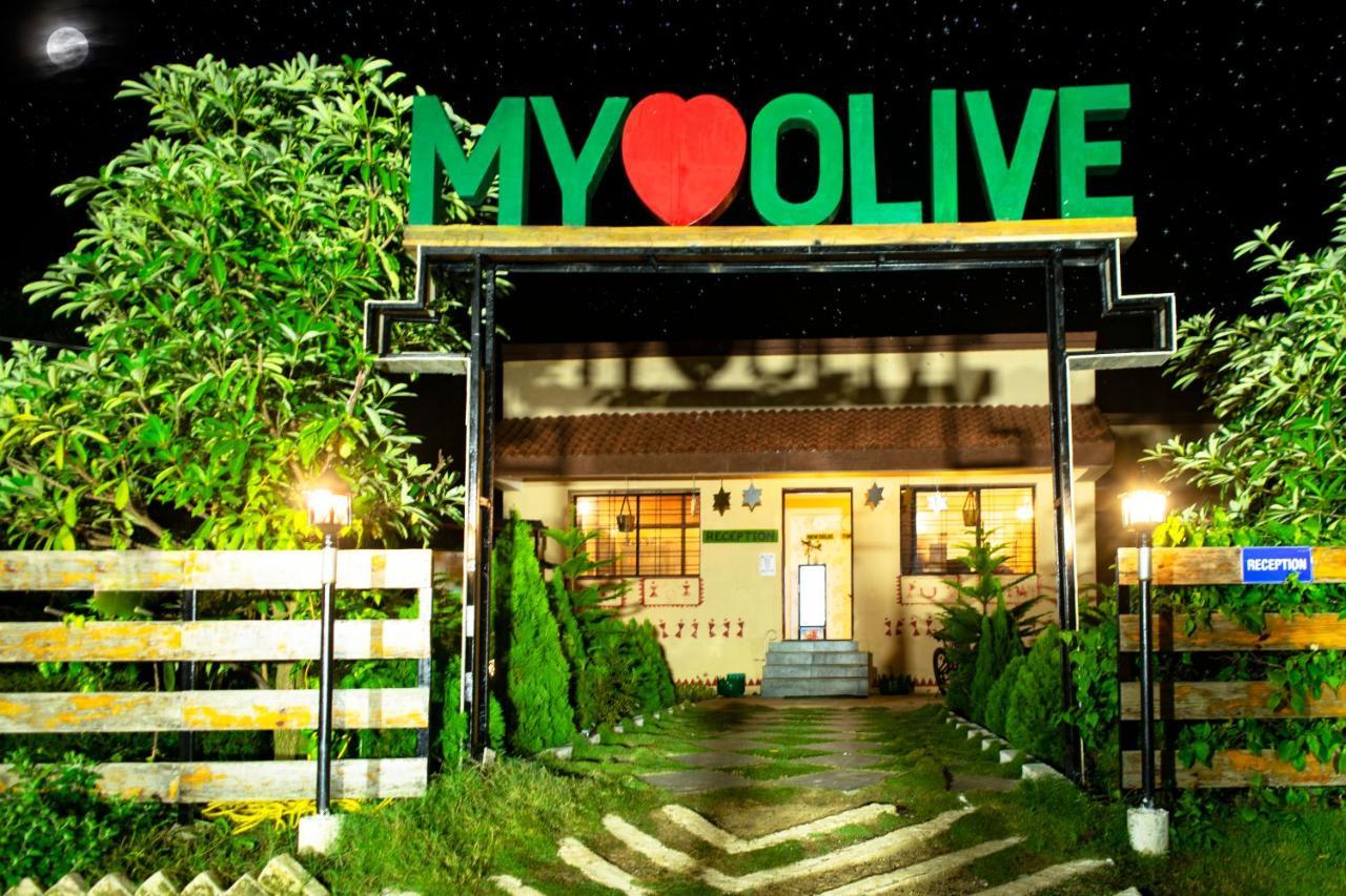 Olive Resort - Sillari Pench Silari ภายนอก รูปภาพ
